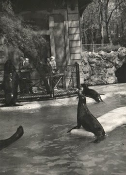 50 anni fa