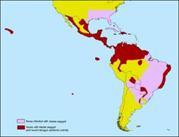 Cartina diffusione dengue