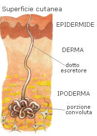 Eruptive syringoma